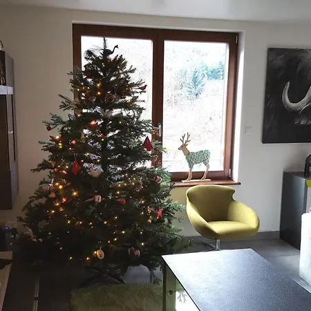 Les Oiseaux Appartement Kaysersberg-Vignoble