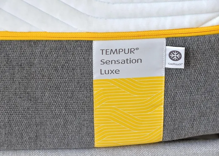 Apartment Les Oiseaux *