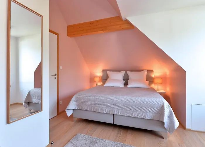 Apartment Les Oiseaux Kaysersberg-Vignoble