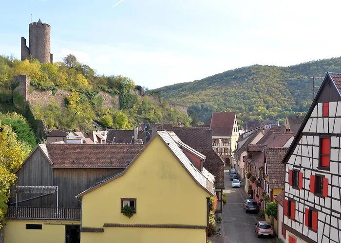 Les Oiseaux Apartment Kaysersberg-Vignoble