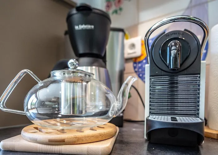 Apartment Les Oiseaux Kaysersberg-Vignoble