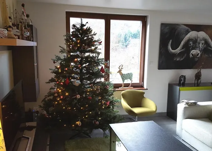 Les Oiseaux Apartment Kaysersberg-Vignoble